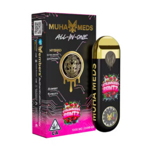 Strawberry Runtz | All-In-One | 1000MG