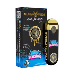 Blue Slushie | All-In-One | 1000MG